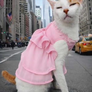 Elegant Pink Ruffle Layer Pet Mini Dress